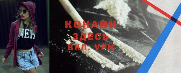 амф Алзамай