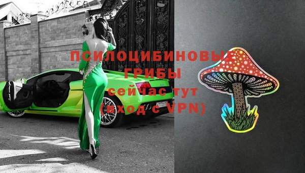 дживик Алексеевка