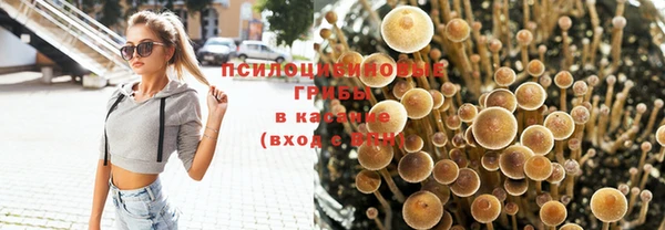 кристаллы Алексин