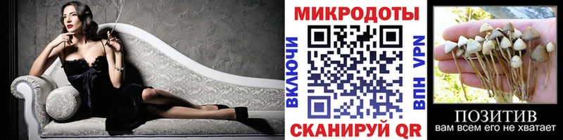 Псилоцибиновые грибы Psilocybine cubensis  даркнет сайт  Чехов 